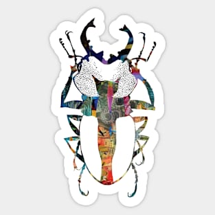 Beetle Series 6 Sticker